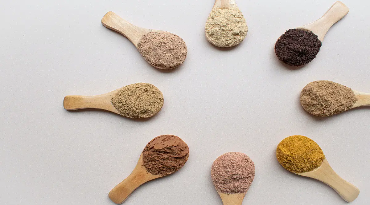 15 Best Zero Waste Protein Powders to Help You Stay Fit and Green ...